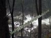 smokymtn4.jpg